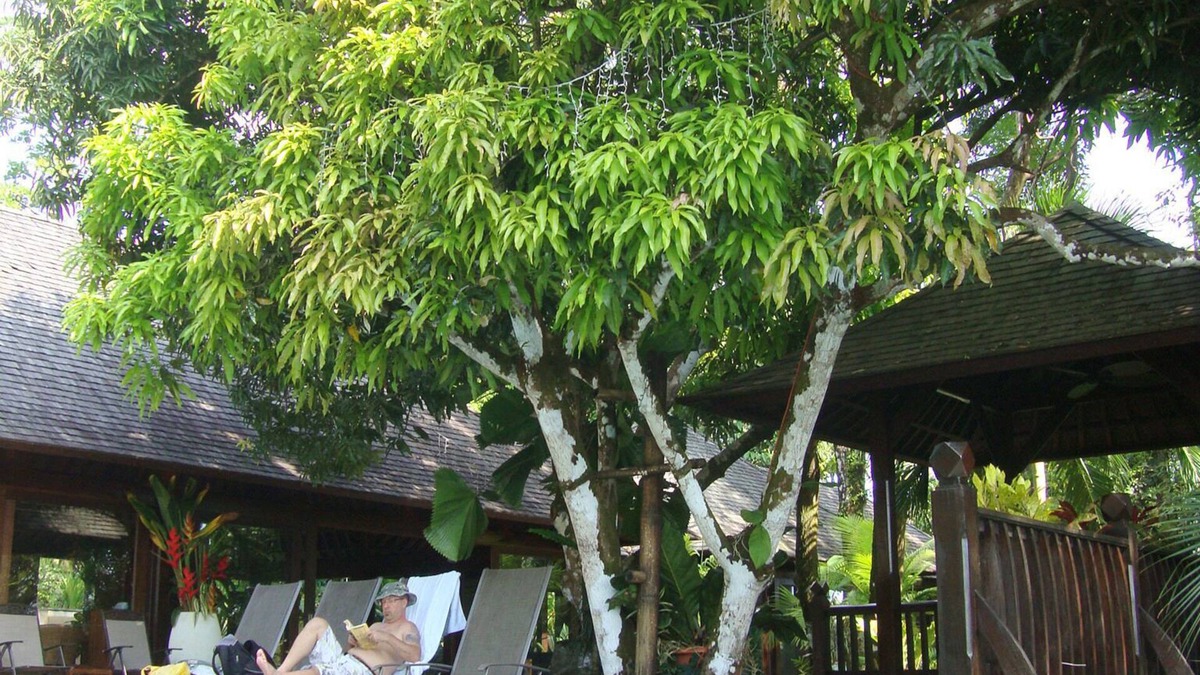 Manuel Antonio House | The Bali House at the beach, the best house and the best location by far !