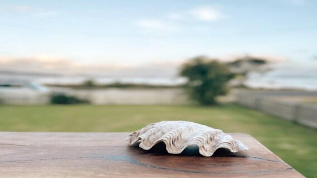 Robinson House | The Bay House - stay, relax and unwind
