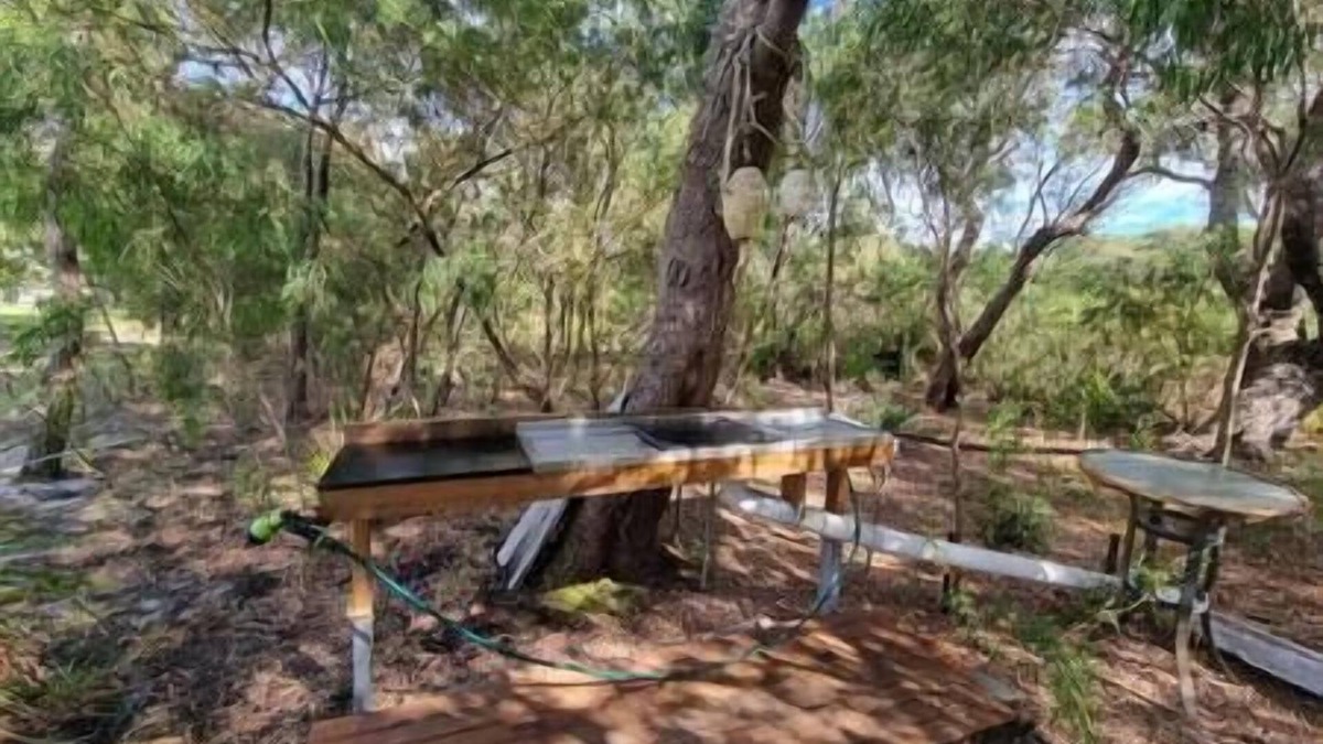 Peaceful Bay Apartment | The Beach House Peaceful Bay WA