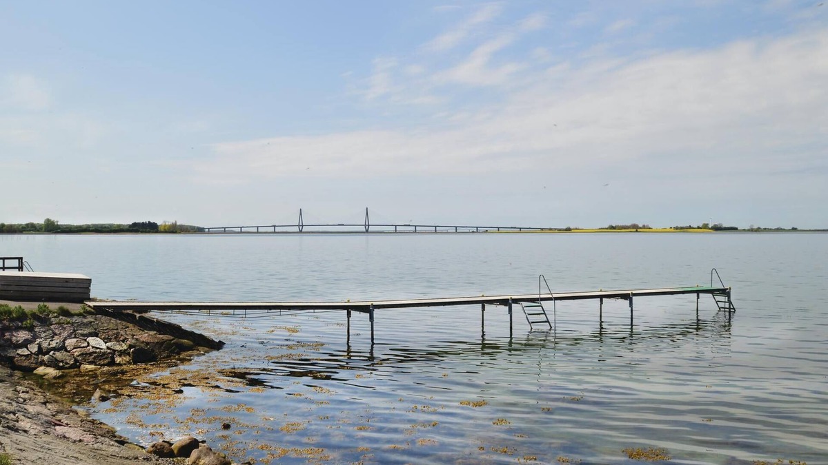 Bog By House | The beautiful island of Møn is known for its unique unspoiled nature.