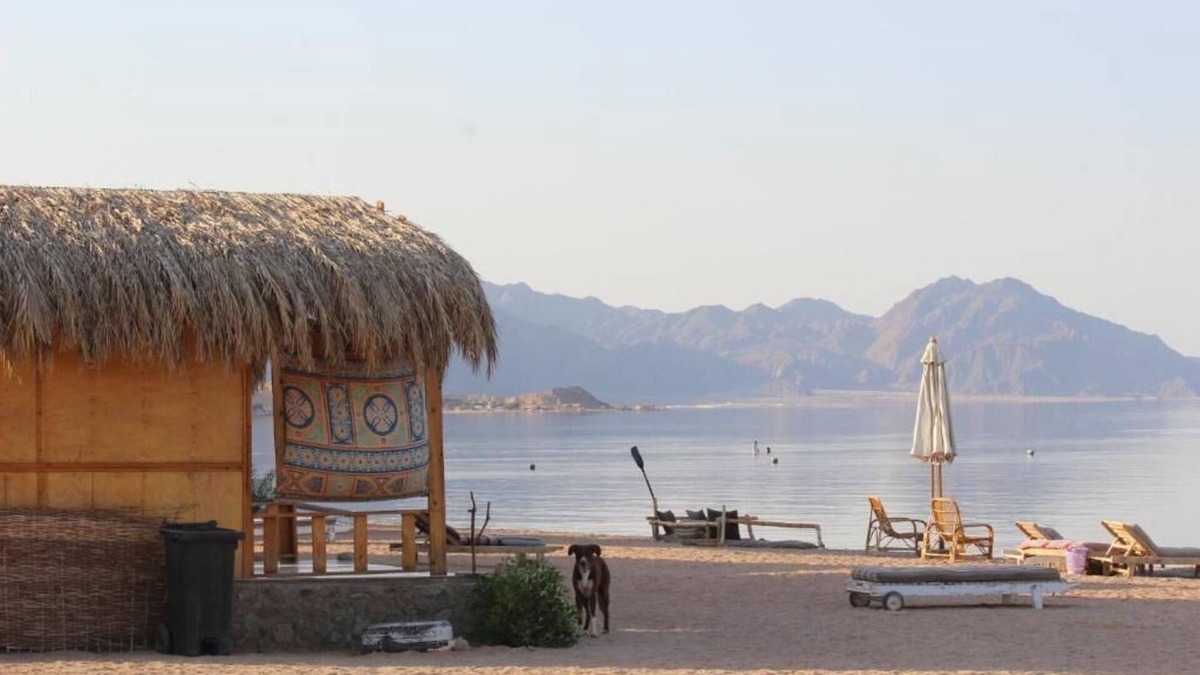Nuweiba Villa | The Bedouin Life with Eid Ali - Two Twin Bed Room n