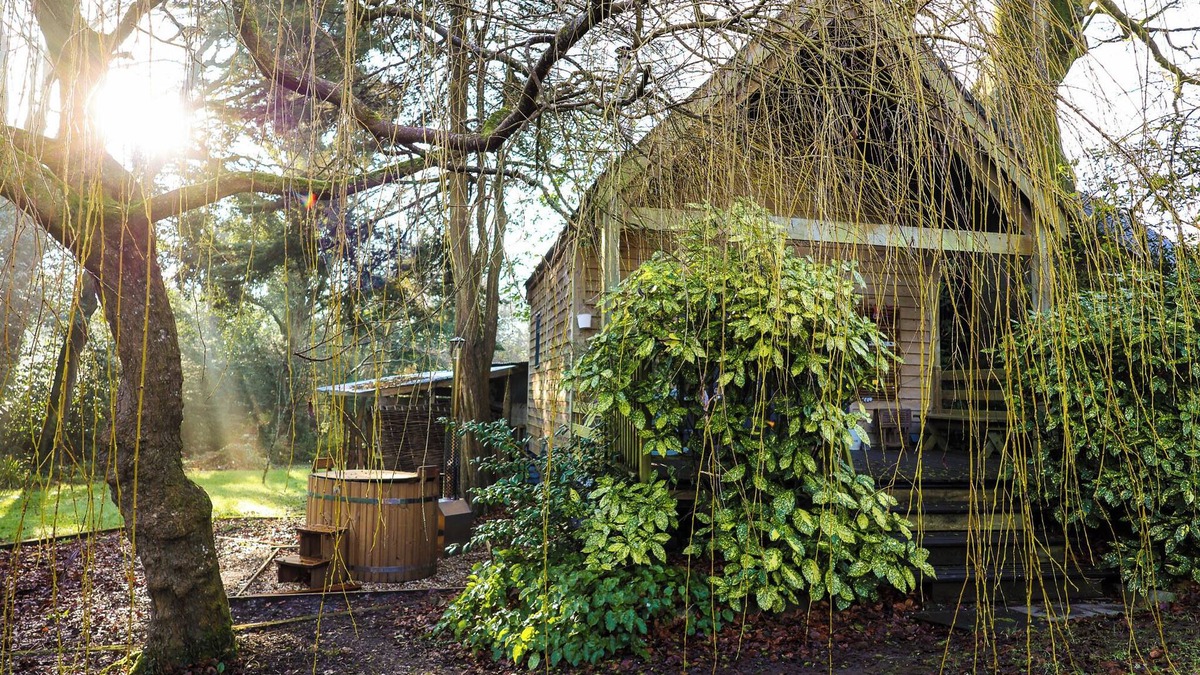 Saint Kew Cabin | The Beech Hut, A Romantic Wooden Cottage for 2, near Port Isaac