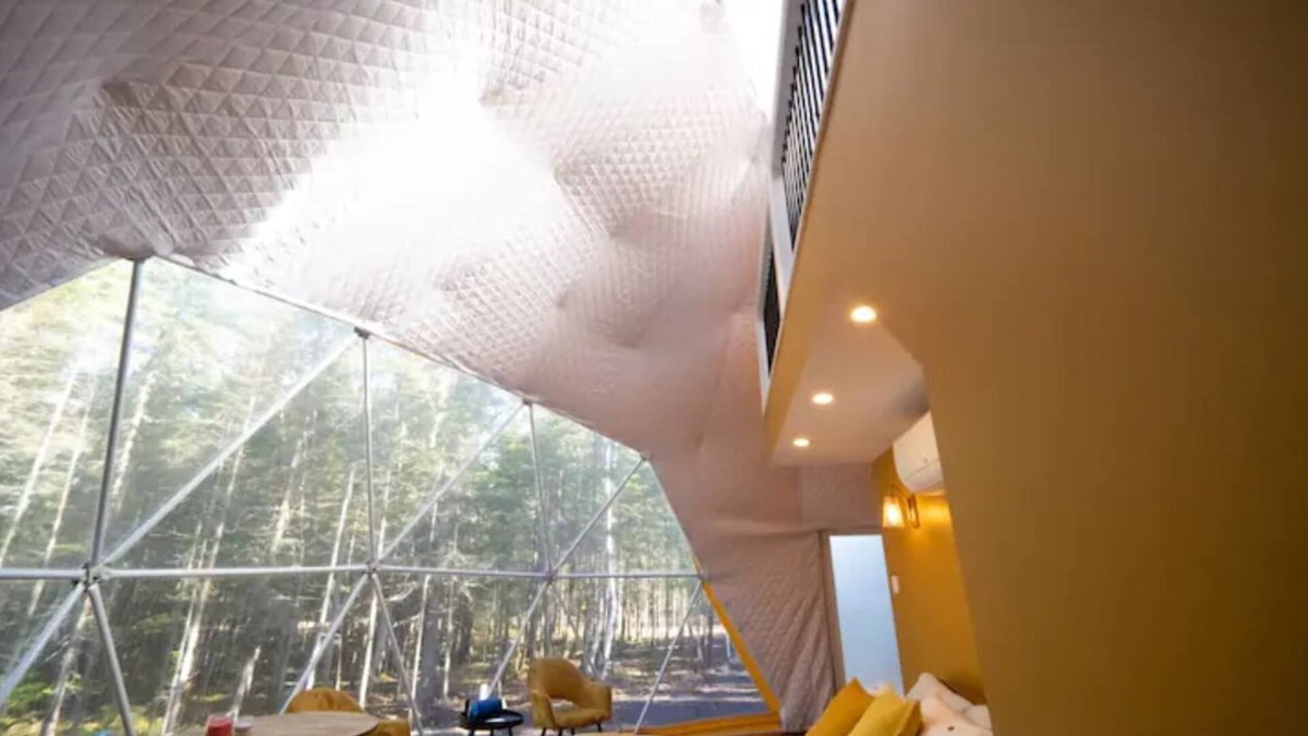 Queens County Cabin | The Bellflower