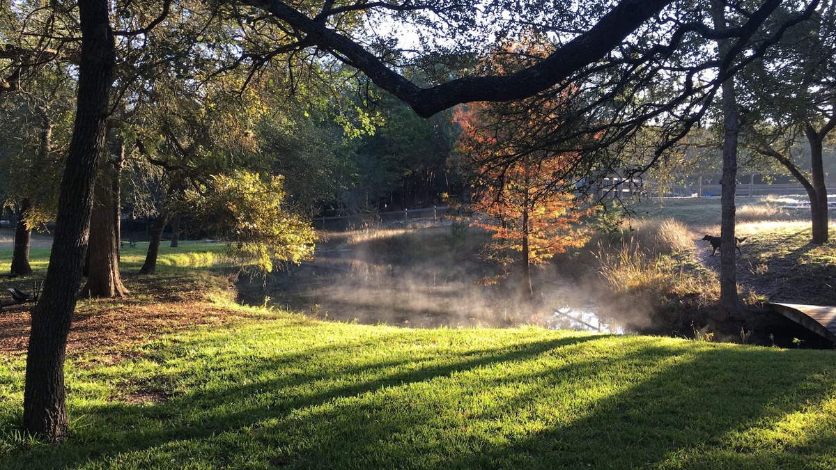 Austin House | ⭐️ ⭐️ The Best of Both Worlds—Great Location for Austin & Hill Country ⭐️ ⭐️