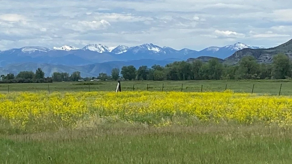 Three Forks Cabin | The Best View In Three Forks & A Short Walk to Downtown!