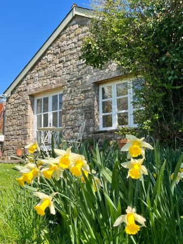 Llanvair Kilgeddin Apartment | The Billiard Room - Cosy Country Retreat