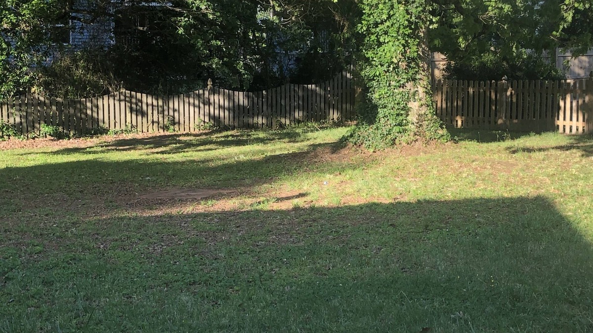 South Richmond House | The Black Pot - Free parking