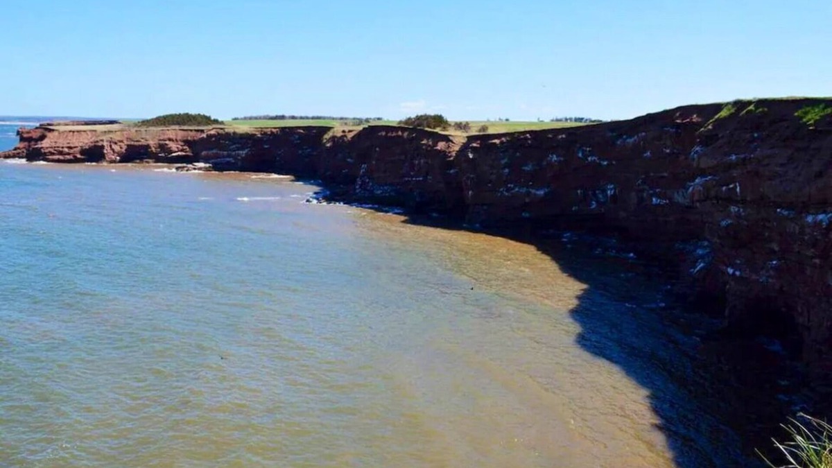 Malpeque Cottage | The Blue Buoy- Hot tub, King bed, Centrally located, stunning views.