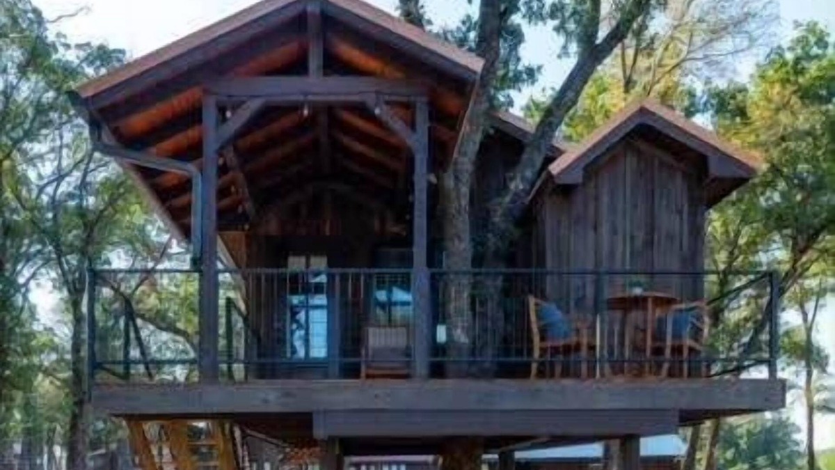Elm Mott RV Rental | The Blue Jay Treehouse 15MIN to Magnolia & Baylor