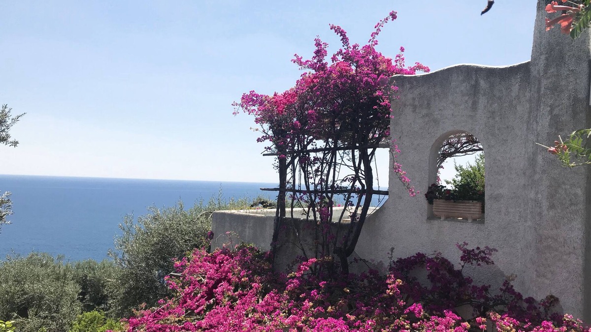 Conca dei Marini House | The "BLUE MARINA" Conca dei Marini AMALFI COAST