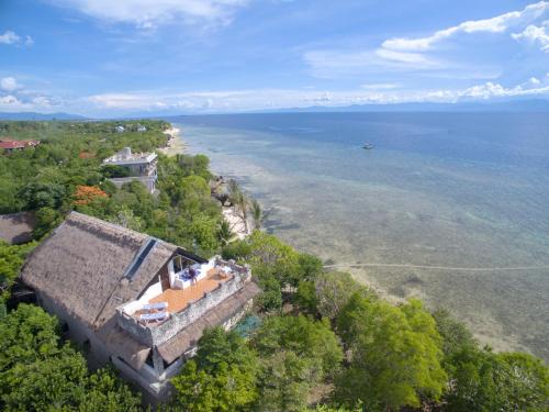 Moalboal Resort | The Blue Orchid Resort