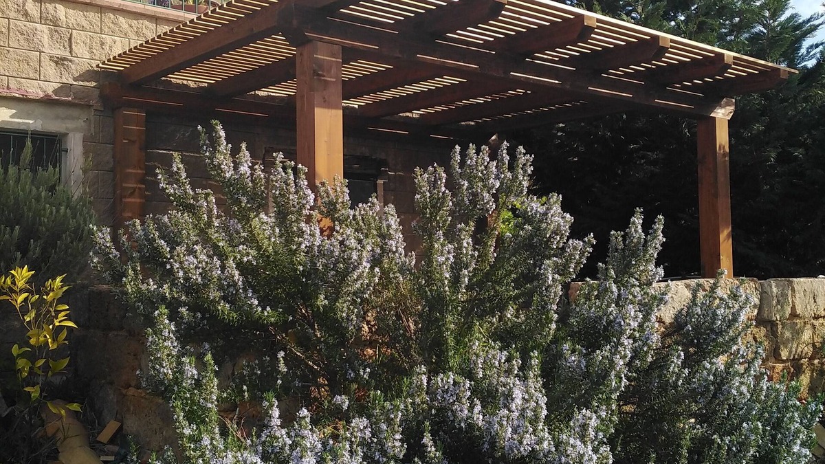 Castelluzzo House | the blue strawberry tree apartment