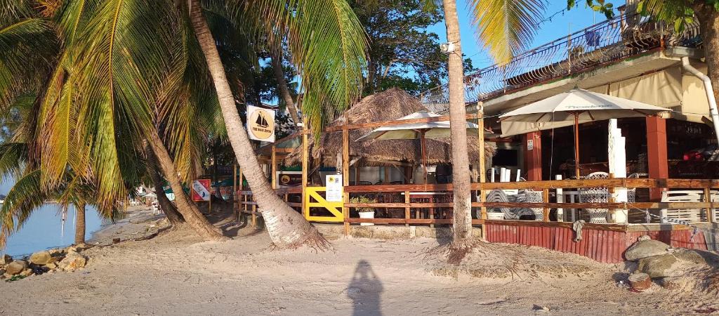 Caribbean Islands Hotel | The Boat House
