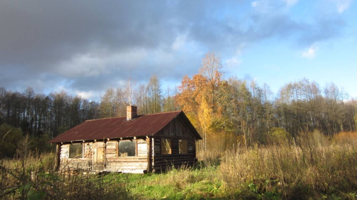 Tartu County Apartment | The Bog Cottage of Rehesaare - Experiencing Simple Life in Wilderness