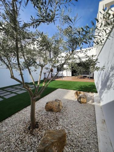 Rafelbunyol House | the butterfly house