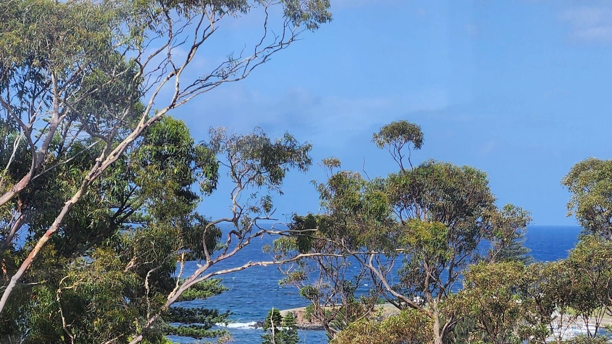 Kiama Apartment | The Cabbage Palm Kiama. 5 min walk to everwhere. Location Location Location!