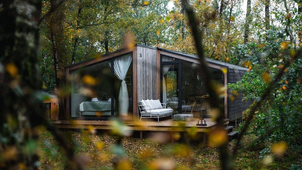 Wilsum Cabin | The Cabin on the Hill is situated among the birch trees on a hill with unobstructed views on all sides.