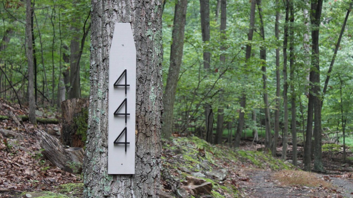 The Woods Cabin | The Cabin on the Run