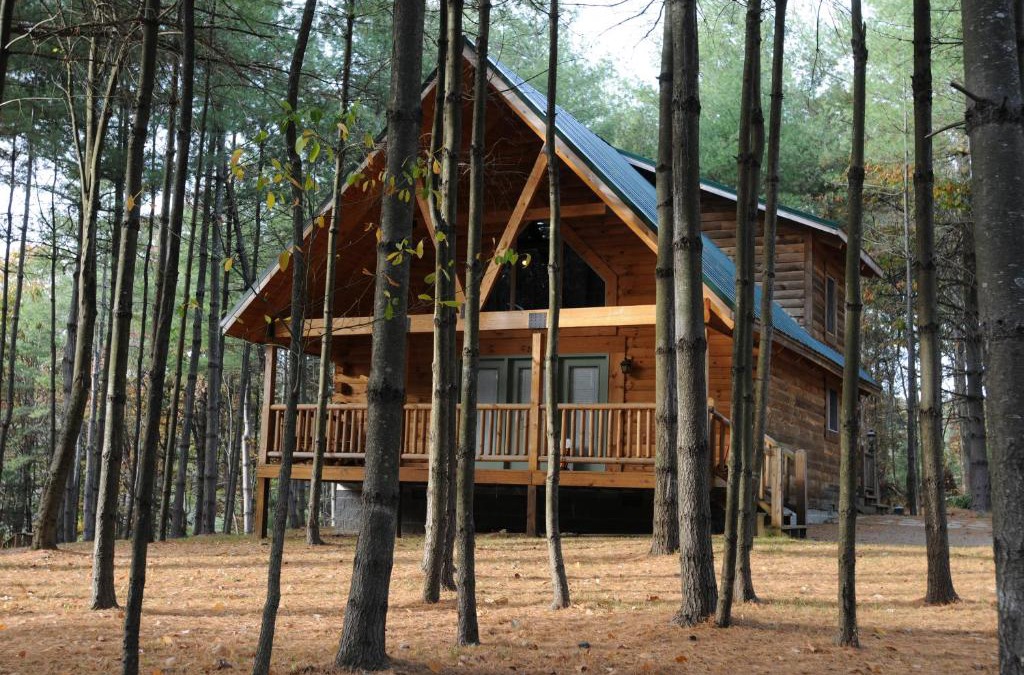 Blue Jay House | The Cabins at Pine Haven - Beckley