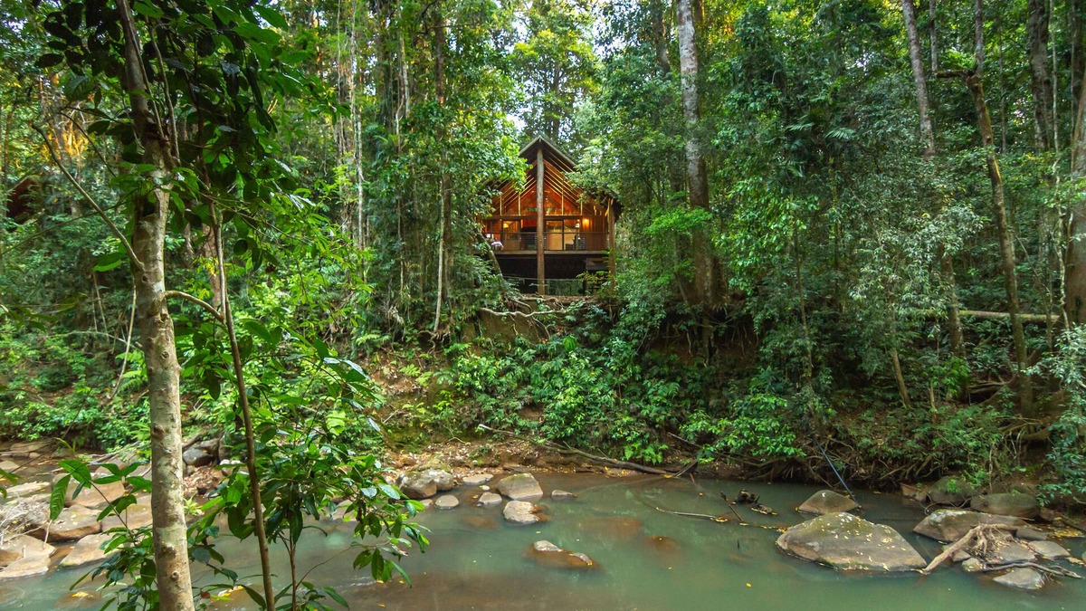 Tarzali Apartment | The Canopy Rainforest Treehouses and Wildlife Sanctuary