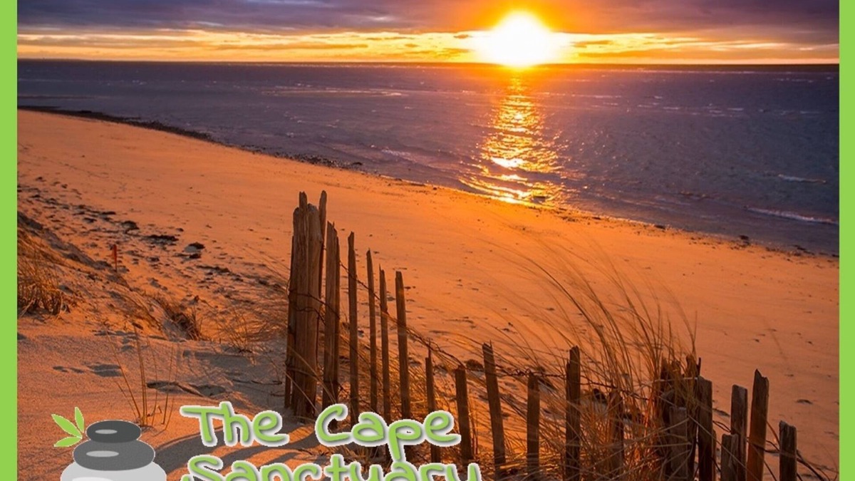 West Falmouth House | The Cape Sanctuary. walk to your own private association ocean beach!