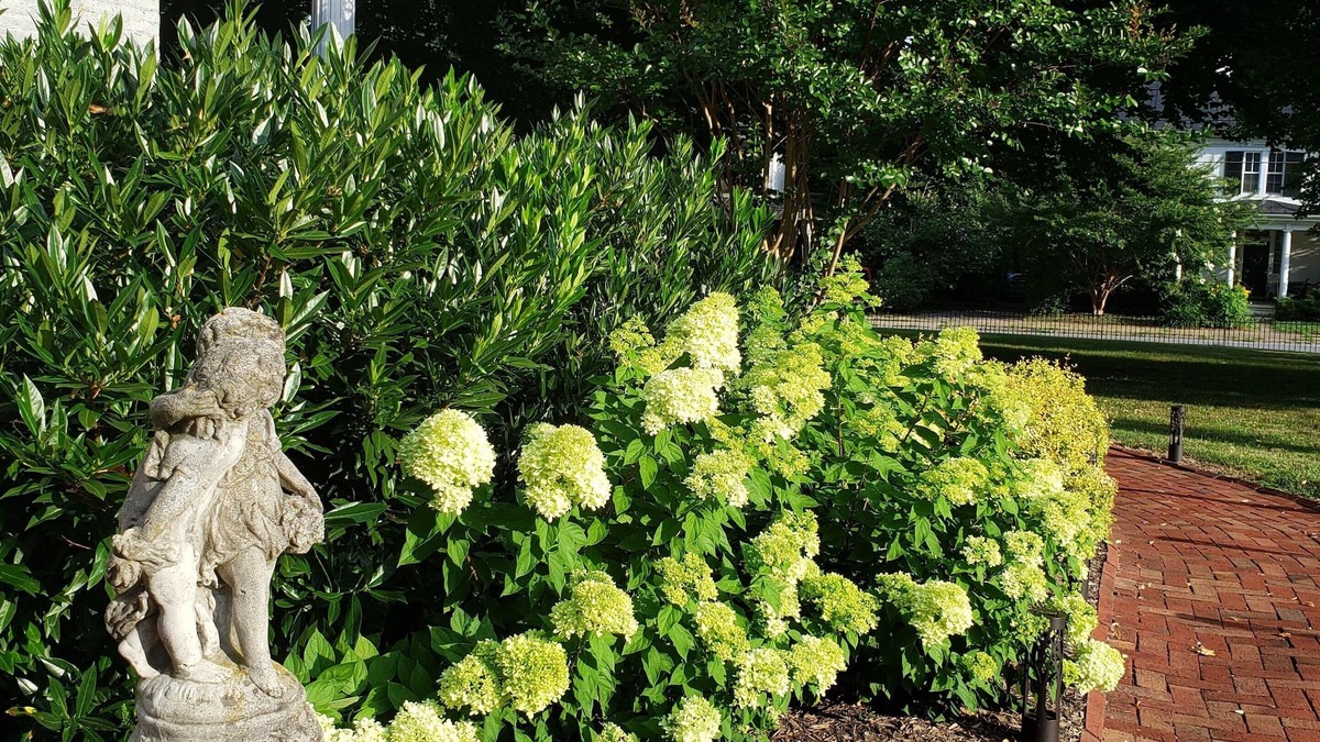 Charles Town Bed & Breakfast | The Carriage Inn B&B