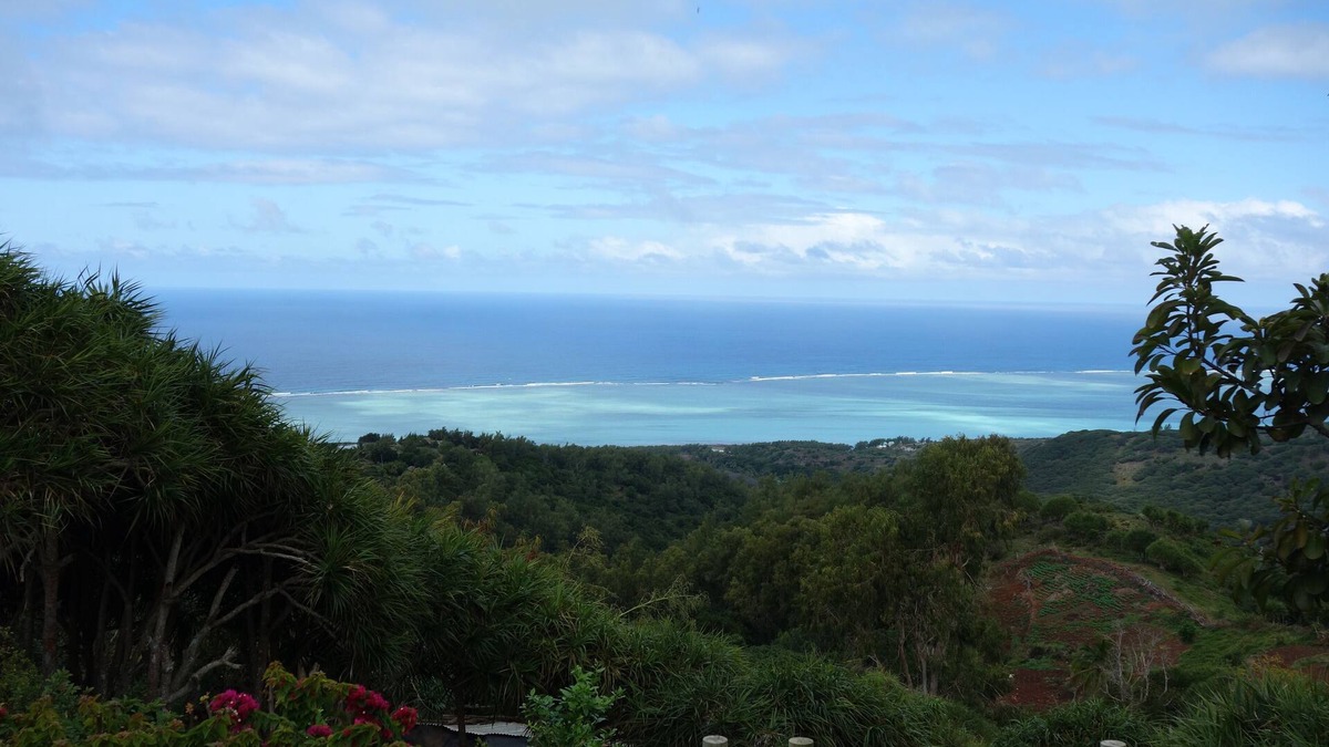 Coromandel House | The Case Mon Calme + piscine is perfect for a regenerating holiday