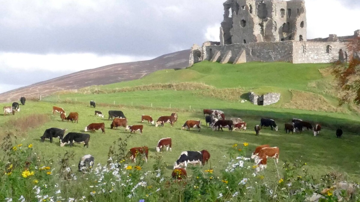 Aberlour Cottage | The Castle Byre, self-catering accommodation next to historic Auchindoun Castle