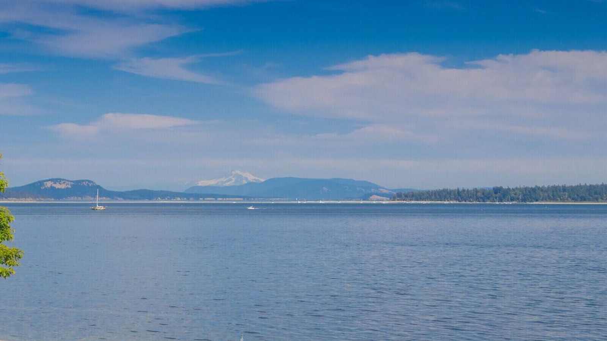 Sidney Hotel | The Cedarwood Inn & Suites