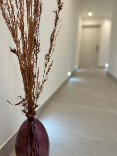 Pieta House | The Central guesthouse