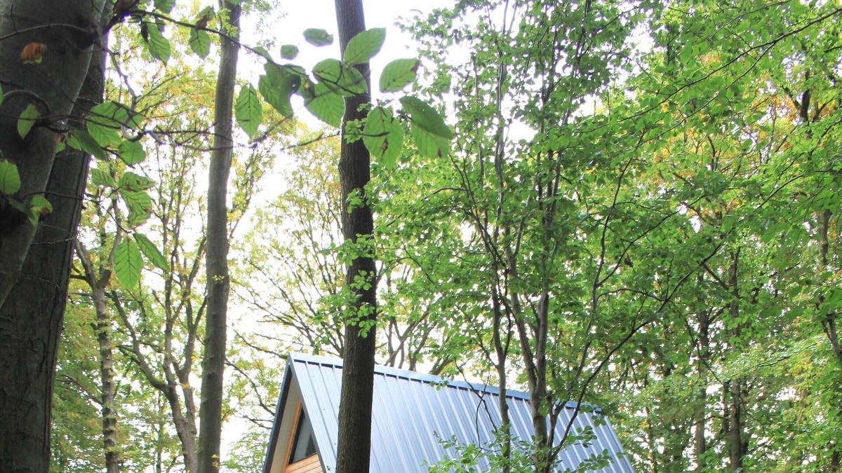 Ruminghem Apartment | The chalet of wood Ruminghem