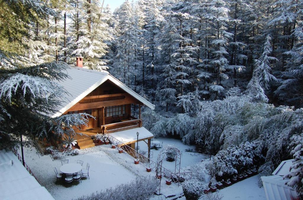 Naldehra Resort | The Chalets Naldehra