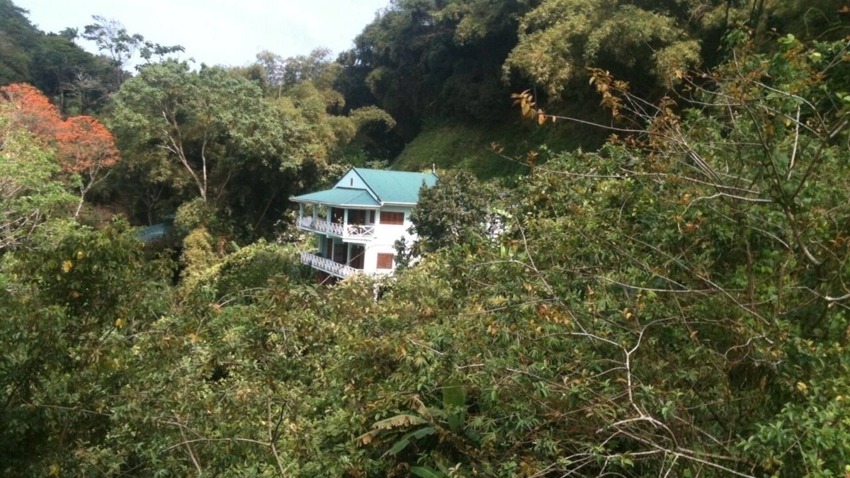 Charlotteville House | The Charlotteville Lookout - Oceanview Mountain Top Bird Watchers Paradise