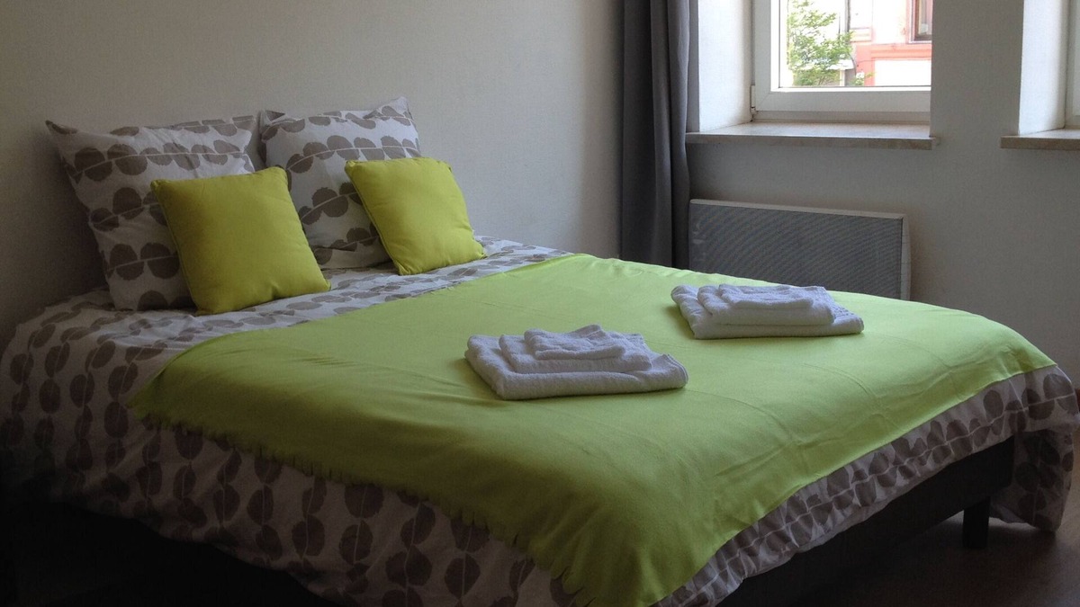 Forbach Apartment | The chestnut - spacious studio in the city center