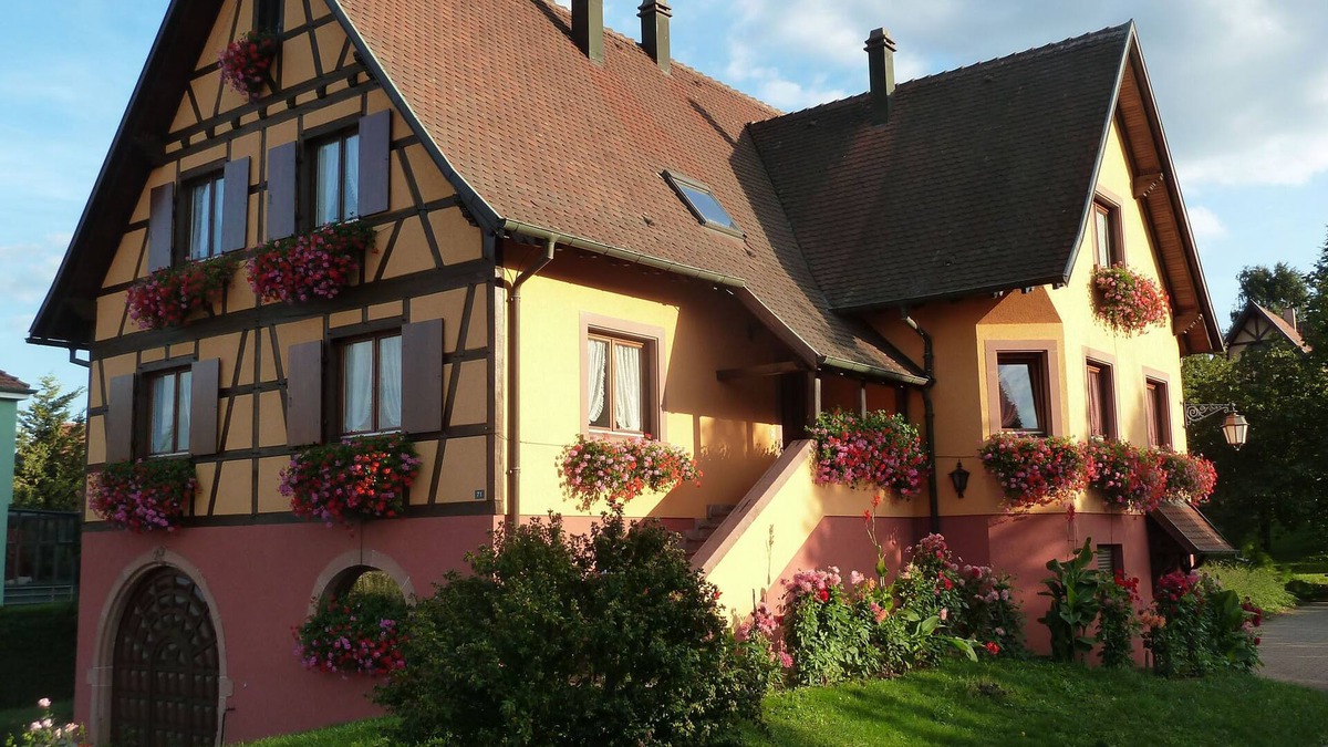 Epfig Cottage | The Chestnut tree. Traditional Alsace house. View of the vineyard and St Odile