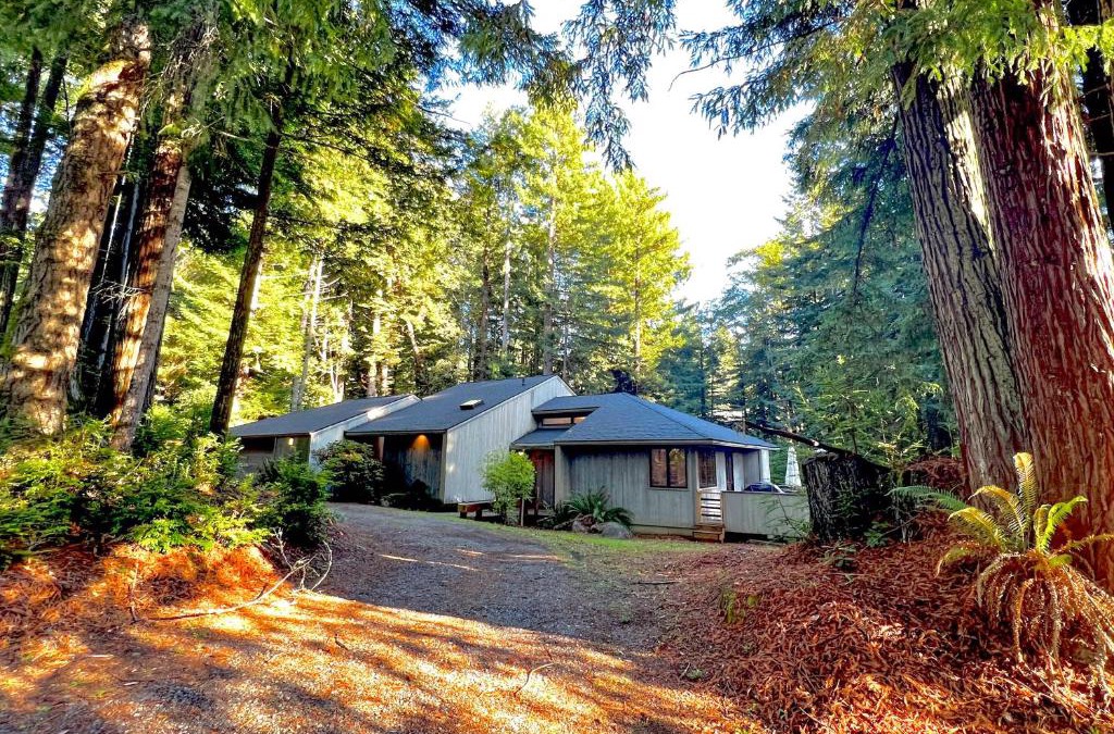 Crescent City House | The Choli House