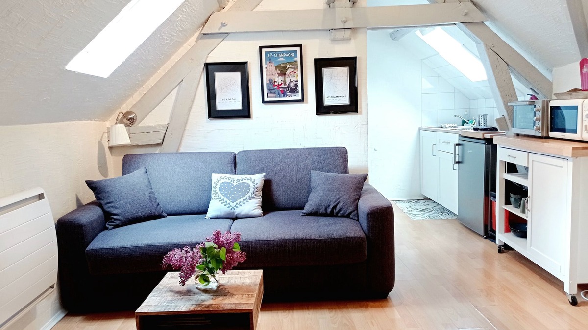 Ay Apartment | The Cocoon of Enjoy in Champagne