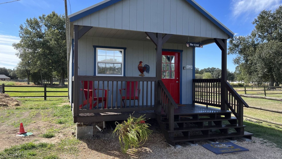 Scott Apartment | The Coop. A lil taste of country with horses and chickens.