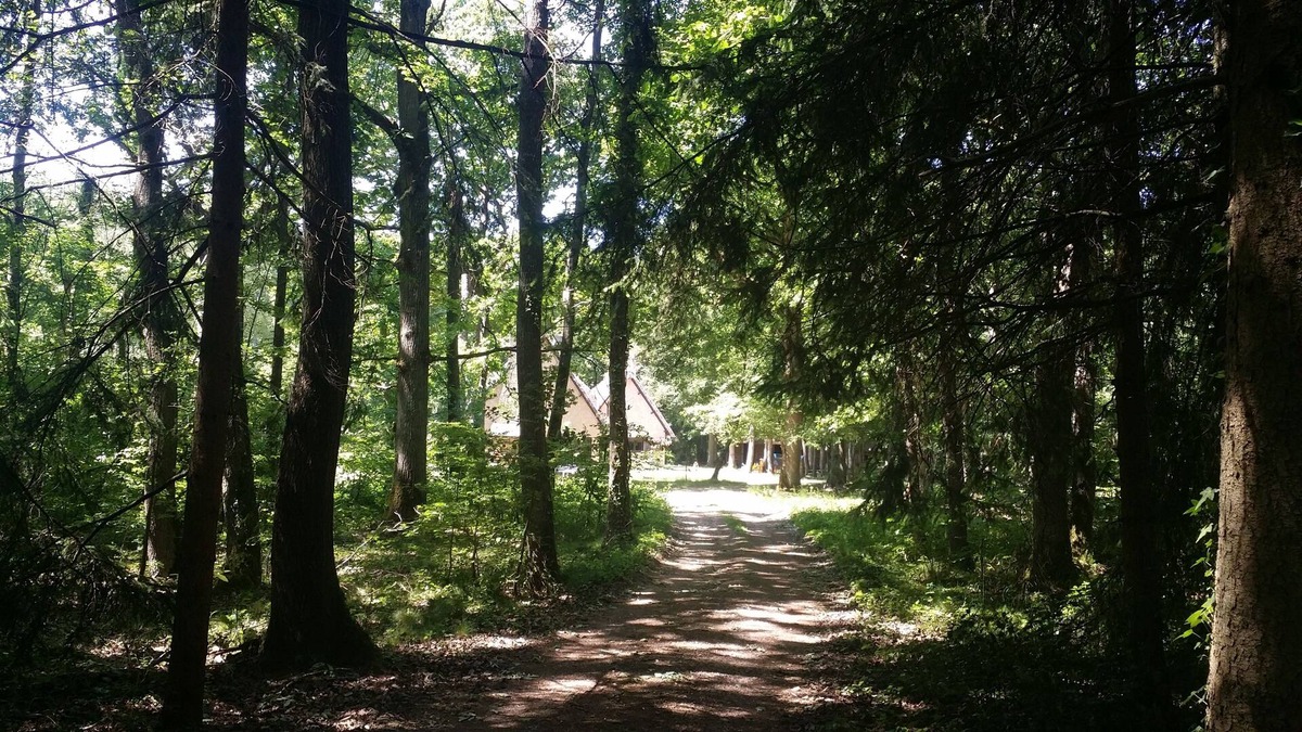 St-Andre-de-l'Eure Cottage | The cottage in the heart of the forest
