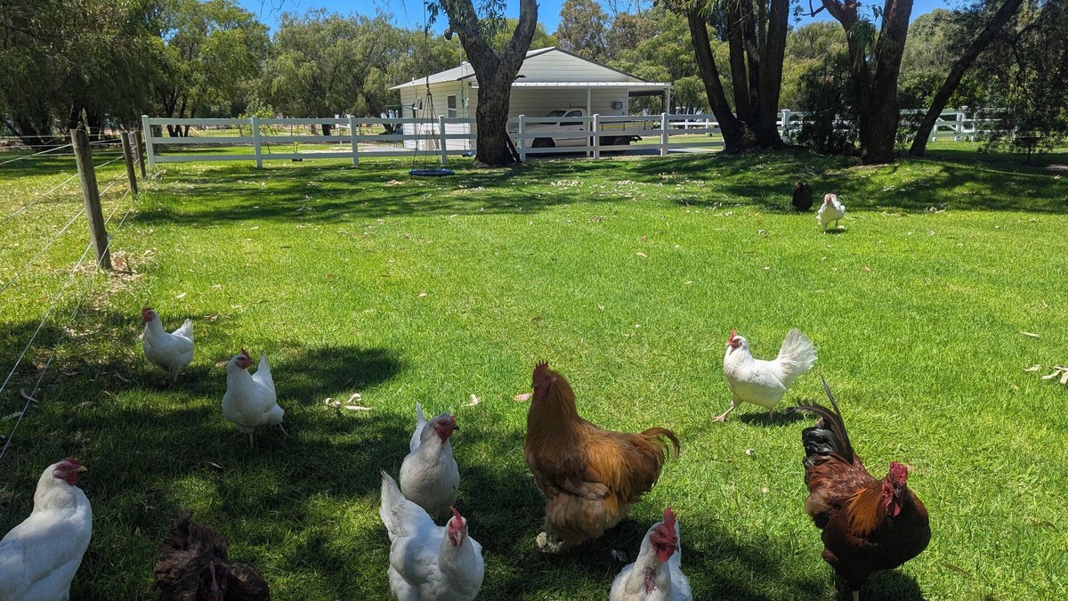 Gnangara Bed & Breakfast | The Cottage at Gnangara Park