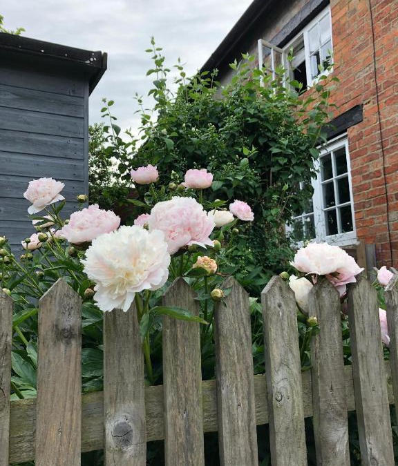 Sulgrave House | The Cottage