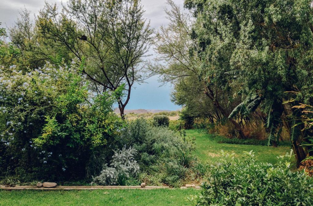 Prince Albert House | The Cottage
