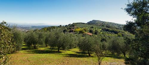 Panicale House | The Country House Montali
