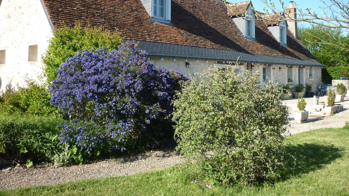 Fondettes House | The countryside just outside Tours