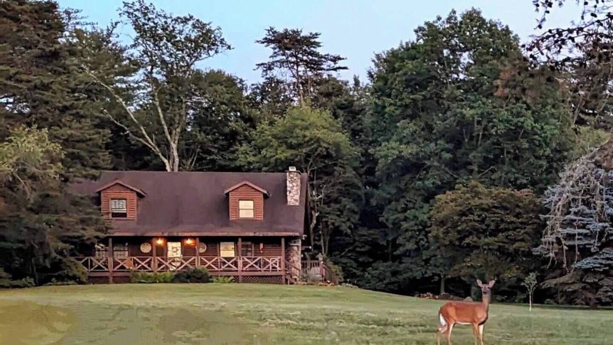 Nescopeck Cabin | The Cozy Cabin, 4 BR, 2 bath home on 5 private acres in NE PA. Family Friendly!