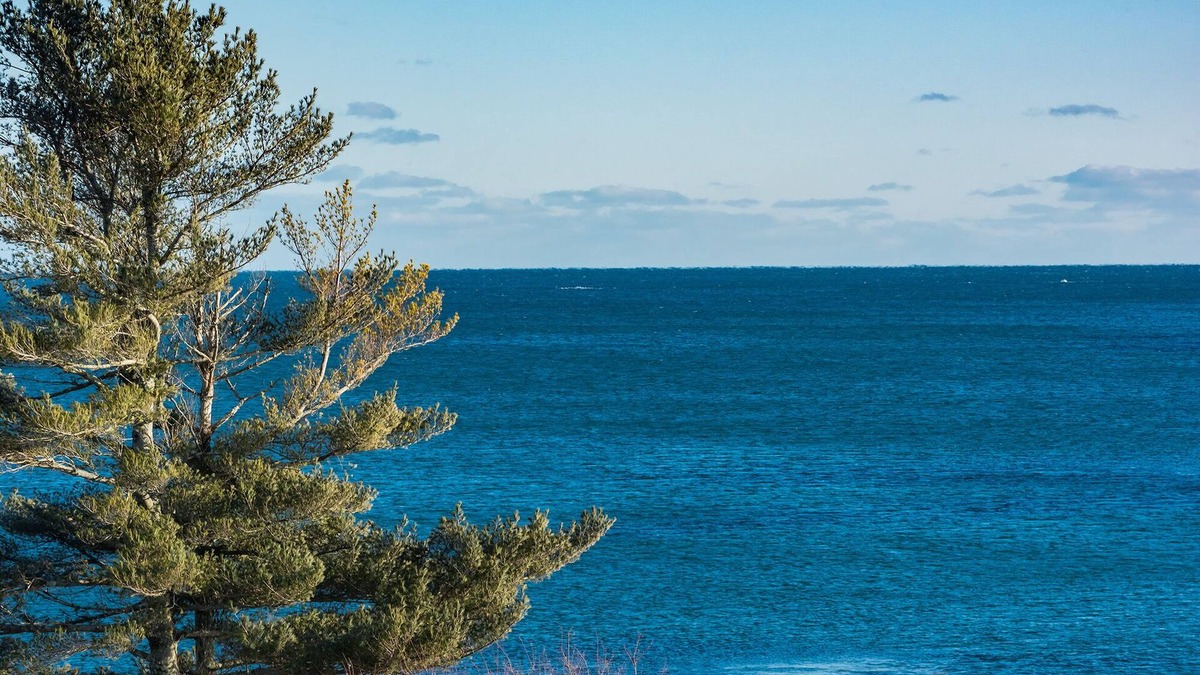 Tenants Harbor Hotel | The Craignair Inn & Restaurant