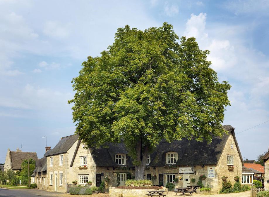 Elton Hotel | The Crown Inn