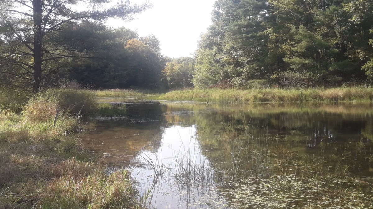 Leeds and the Thousand Islands RV Rental | The Duck Pond (BYO tent camp) - very private, pet friendly, max 8 people/4 tents