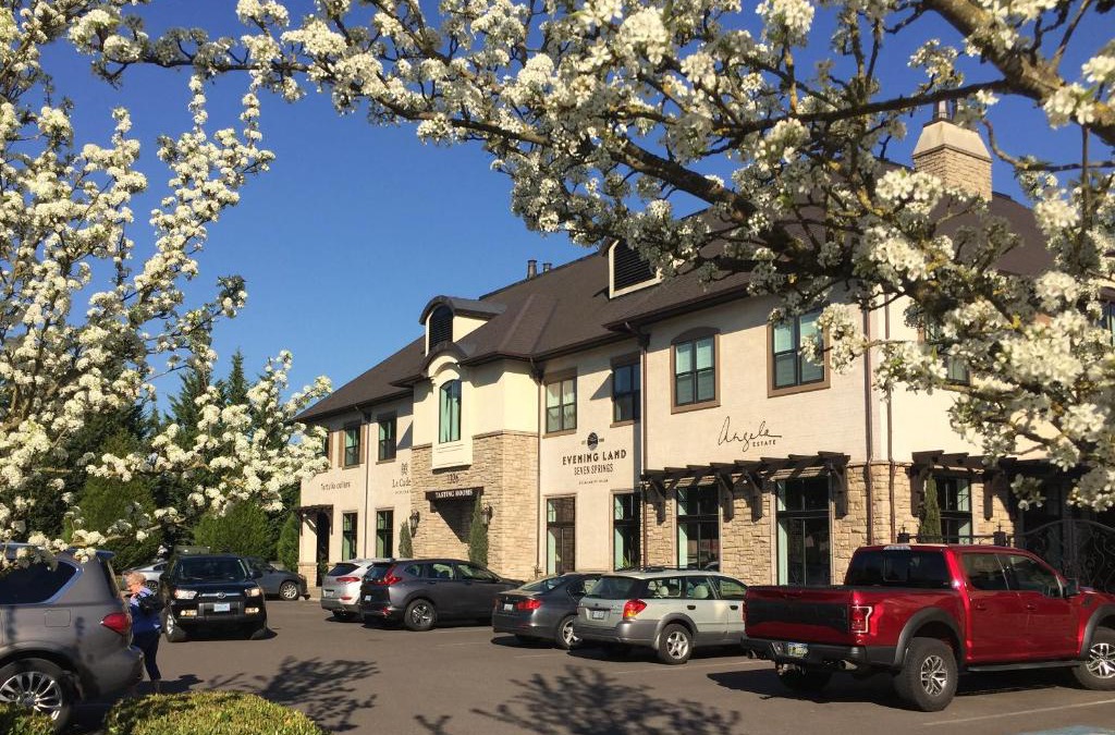 Dundee Hotel | The Dundee - A Trace Hotel