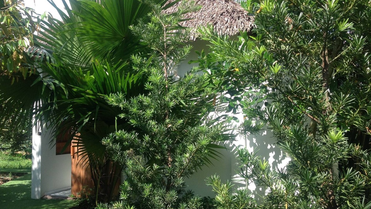 Cai Be Hotel | The Durian Lodge at Mekong